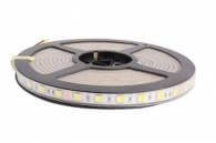 LED лента DC12V  60LED/m  4.8W  LED Lente CW  IP20  5m 350Lm/m (холодный белый)